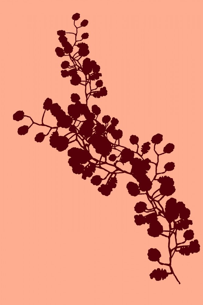 Elegante silueta floral de cartissi