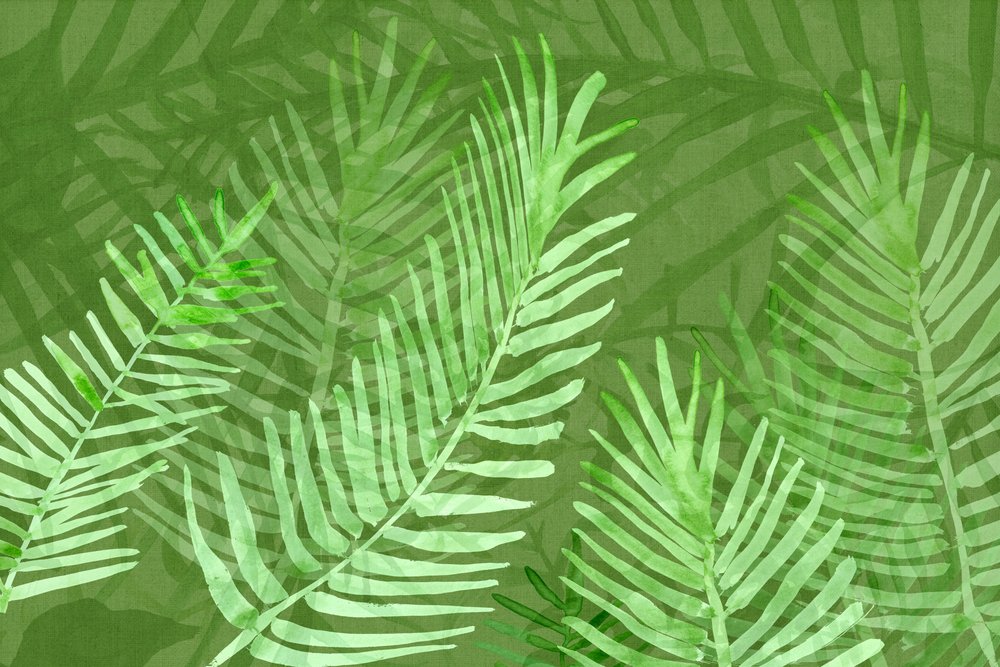 Exuberantes hojas de palmera tropical de cartissi