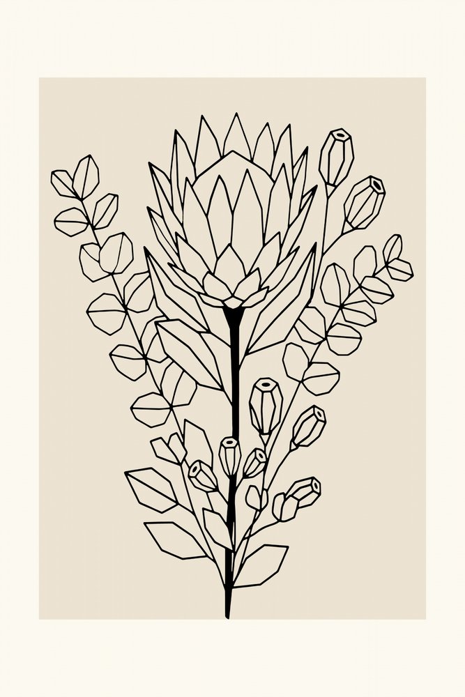 Protea y eucalipto minimalistas de cartissi