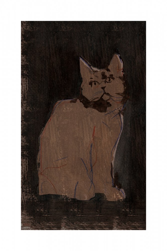 Retrato de un gato malhumorado de cartissi
