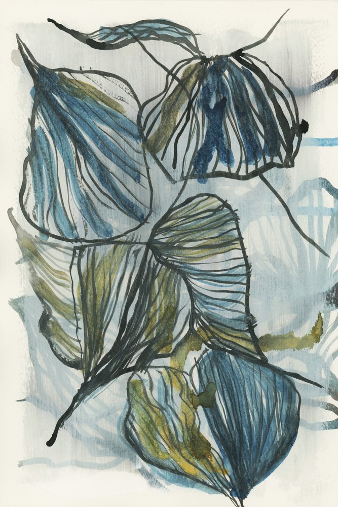 Hojas azules ecológicas de cartissi