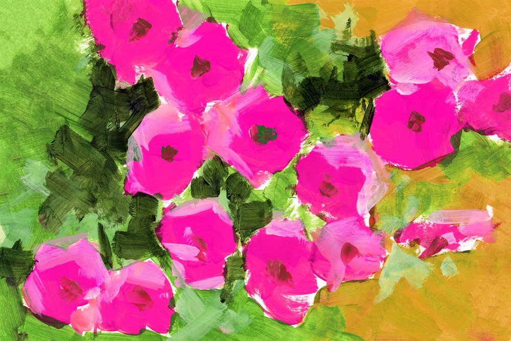 Flores del jardín rosa de cartissi