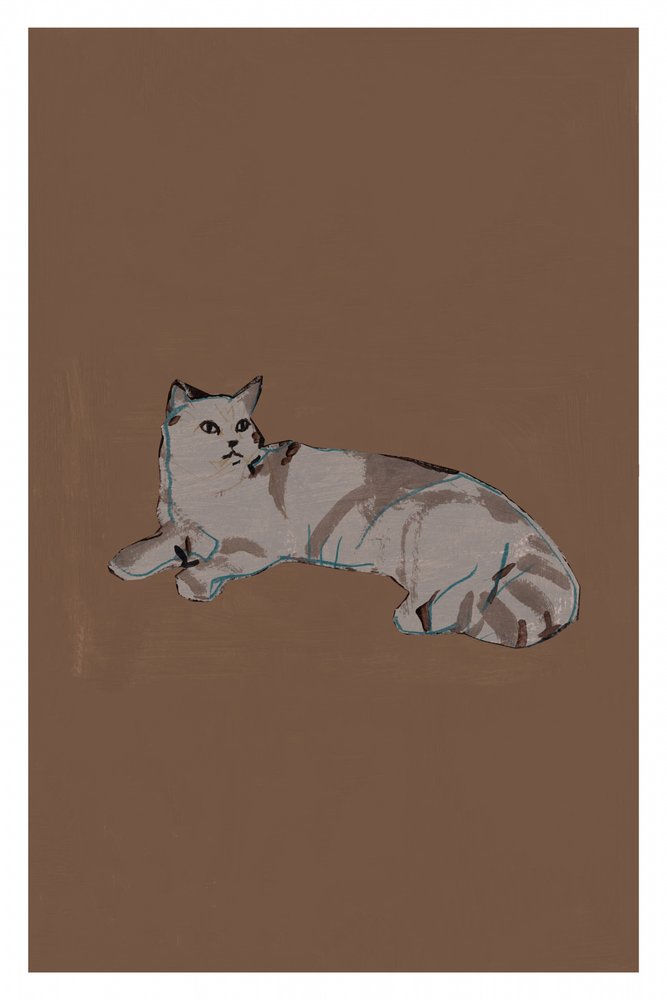 Gato gris relajado de cartissi