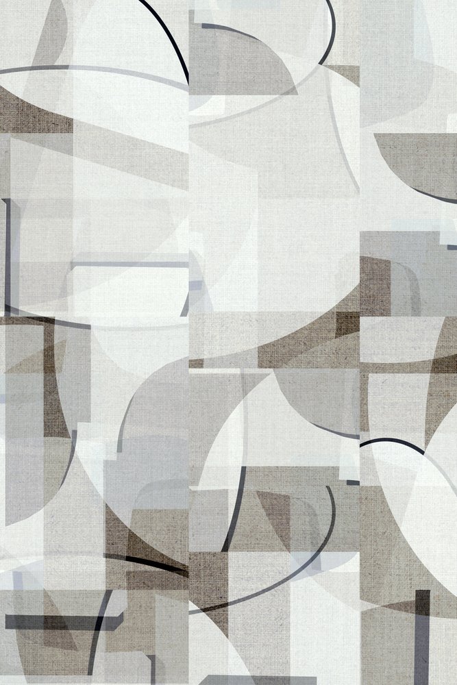 Geometría abstracta suave de cartissi
