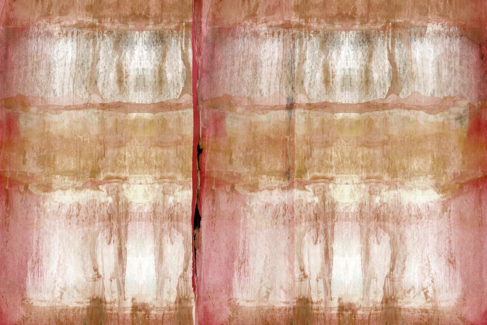 Textura suave y orgánica de cartissi