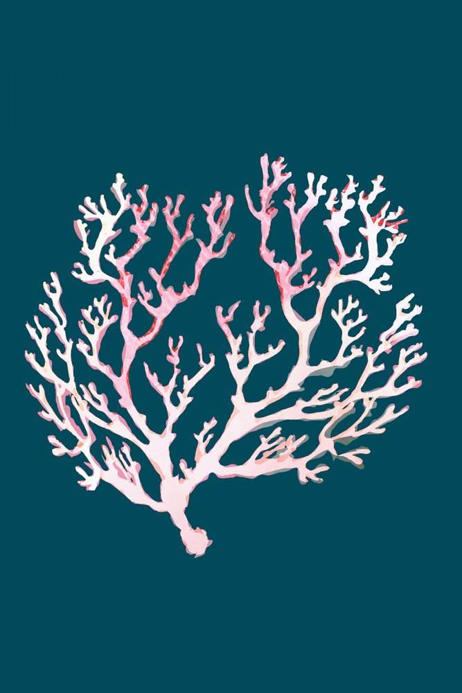 Rosa coral suave de cartissi