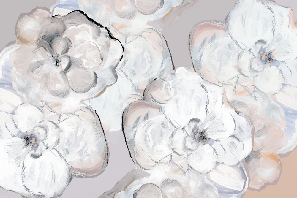 Flores blancas y delicadas de cartissi