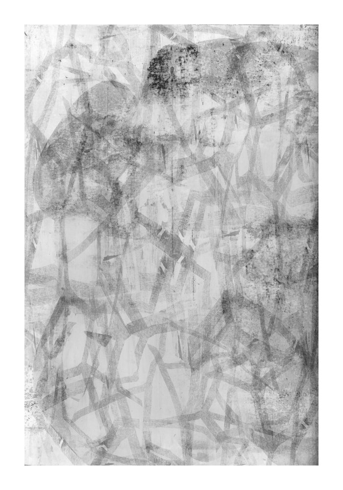 Abstracto monocromático con textura de cartissi
