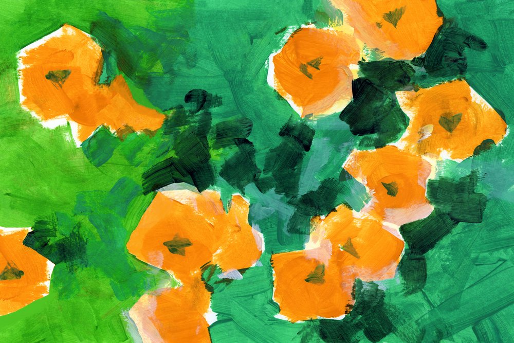 Floraciones de naranjo de vivos colores de cartissi