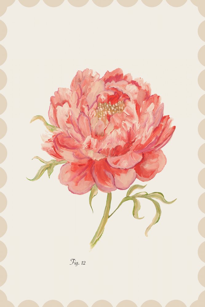 Peonía rosa vintage de cartissi