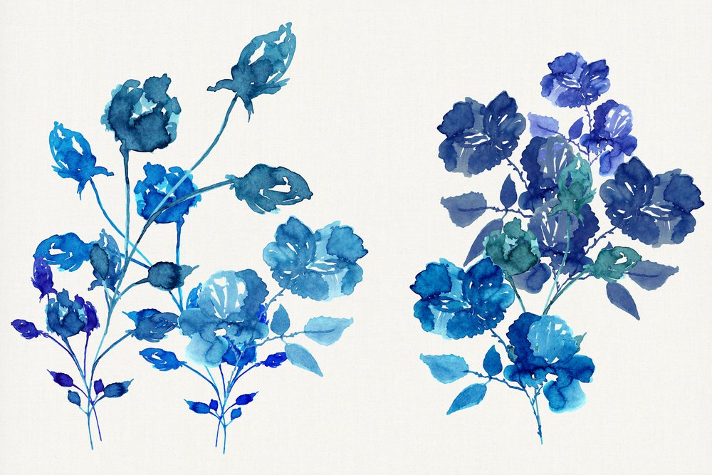 Acuarela: Flores azules de cartissi