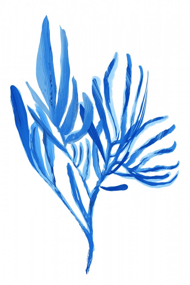 Formas vegetales en azul aguado de cartissi