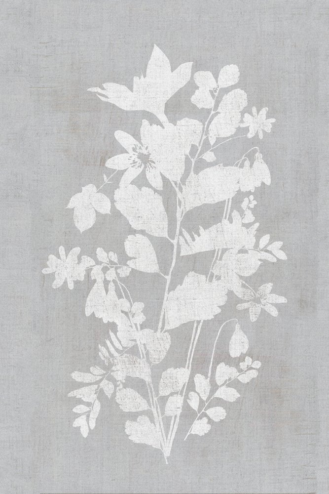 Silueta floral blanca de cartissi