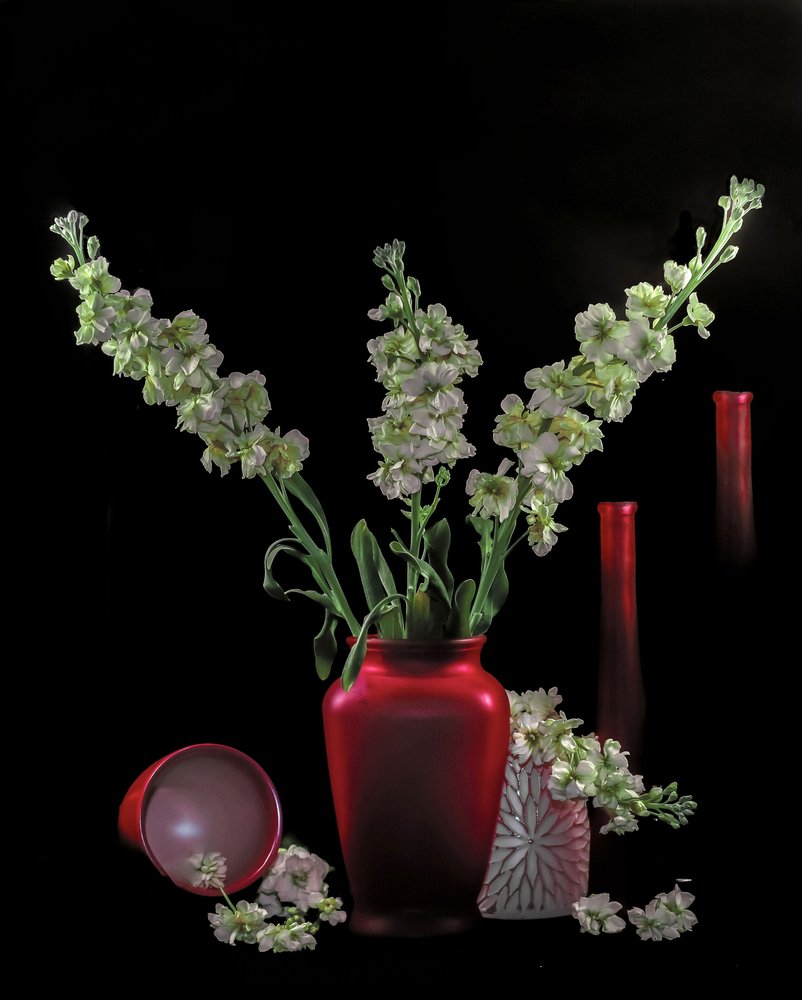 Flores verdes en jarrones rojos de jlloydphoto