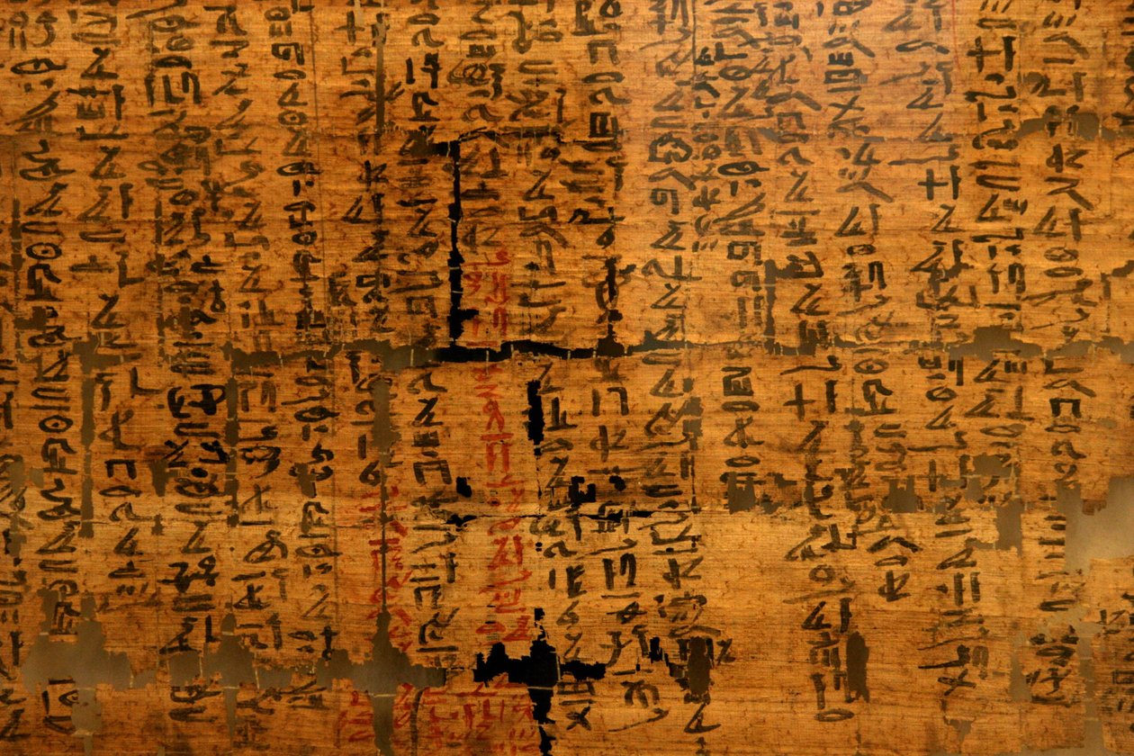 Papiro desconocido XII: documento que contiene remedios contra mordeduras de serpientes, para dolores oculares aparecido bajo el reinado de Ramsés III (1976-1646 a.C.). Museo Egipcio de Turín de Unknown