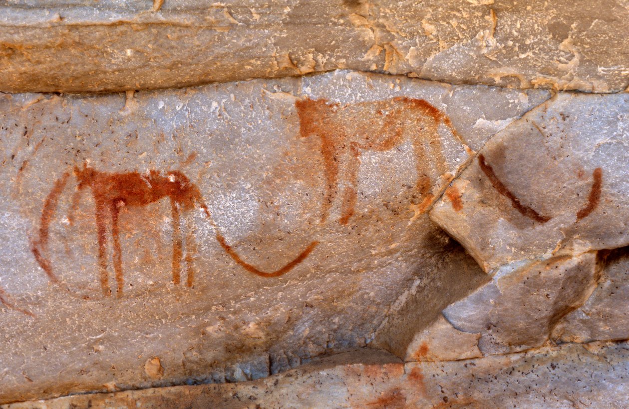 Pinturas rupestres de los bosquimanos, Cedarburg, Cabo Occidental de Unknown