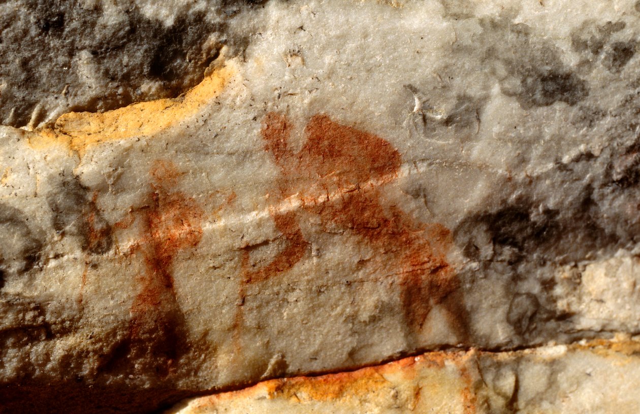 Pinturas rupestres de los bosquimanos, Cedarburg, Cabo Occidental de Unknown