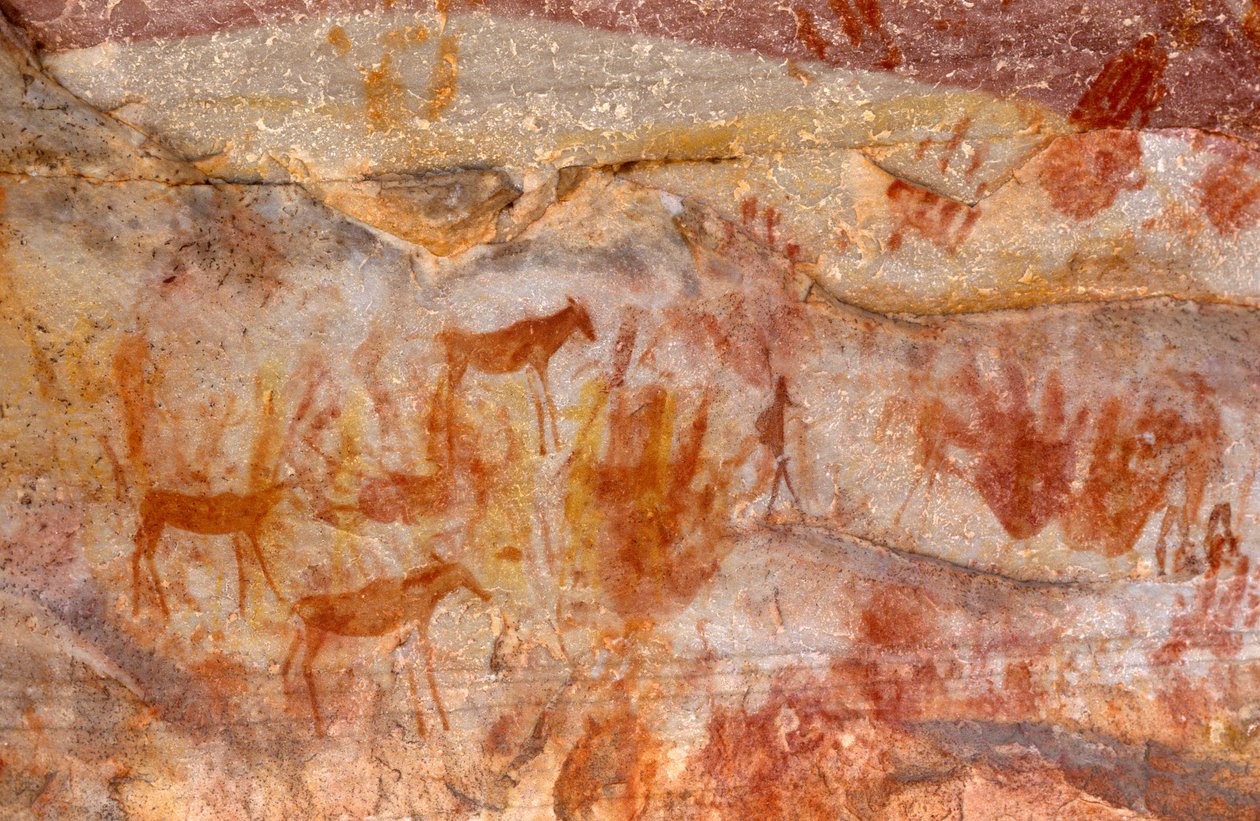 Pinturas rupestres de los bosquimanos, Cedarburg, Cabo Occidental de Unknown