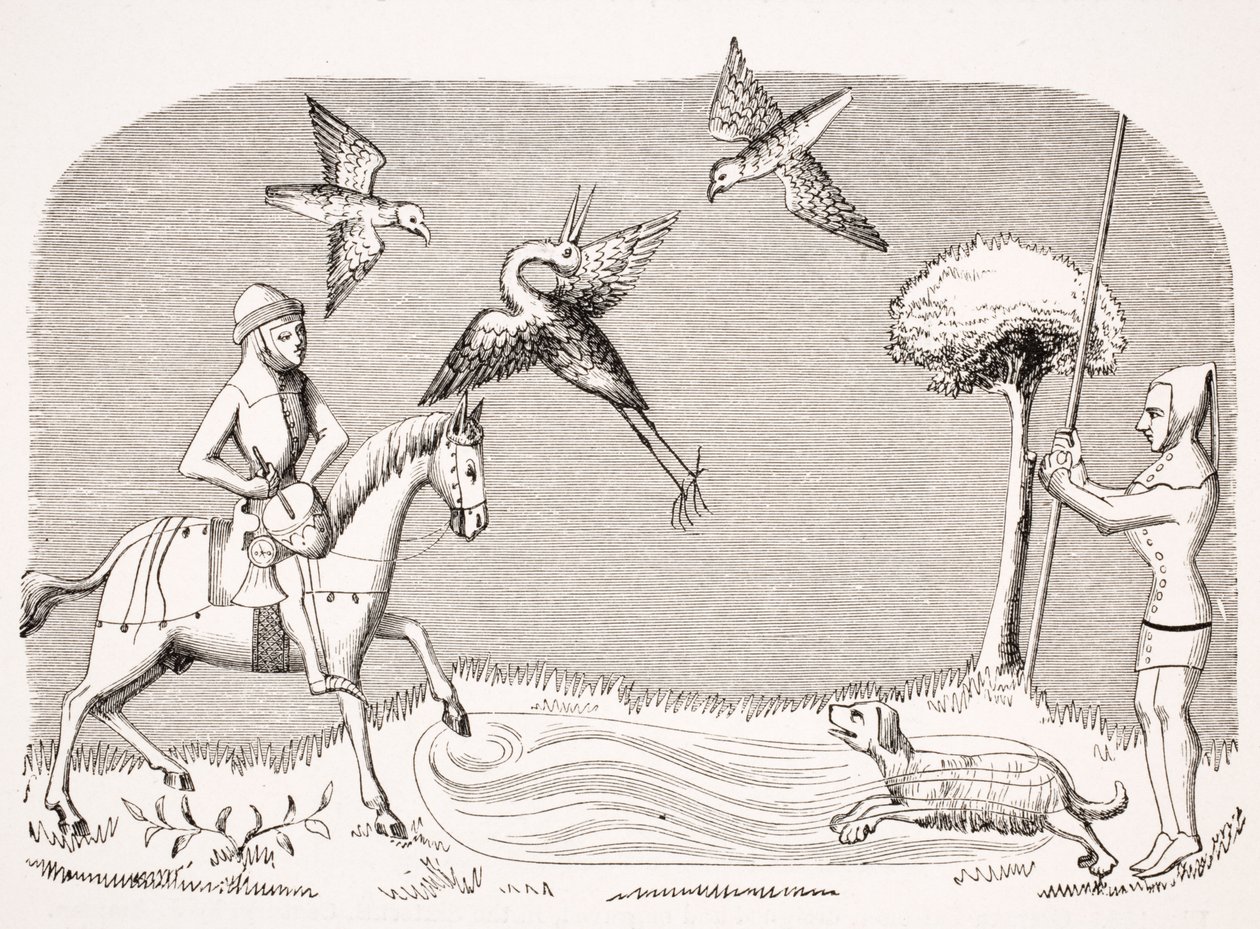 Caza de garzas, reproducción de una miniatura en el manuscrito del siglo XIV 