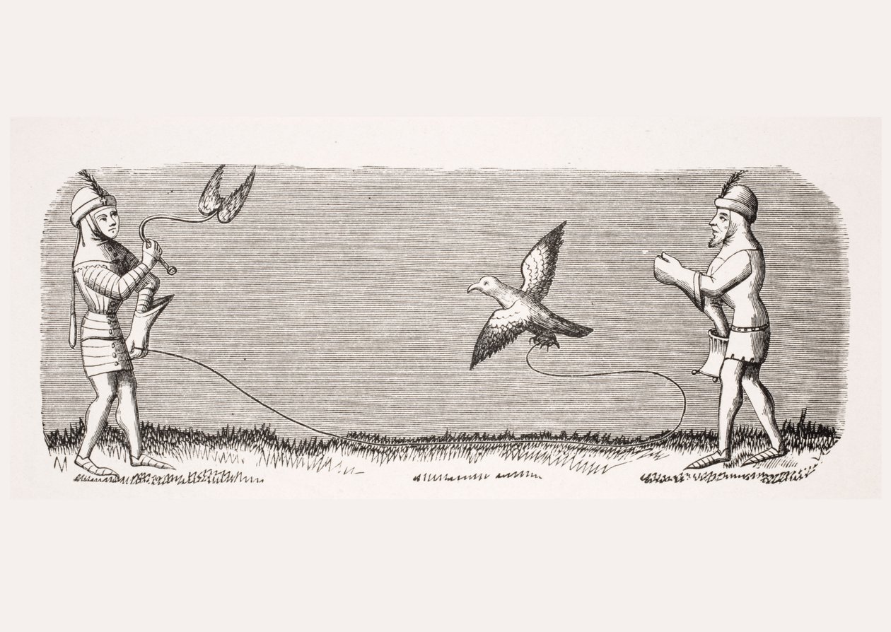 Cómo entrenar a un nuevo halcón, reproducción de una miniatura en el manuscrito del siglo XIV 