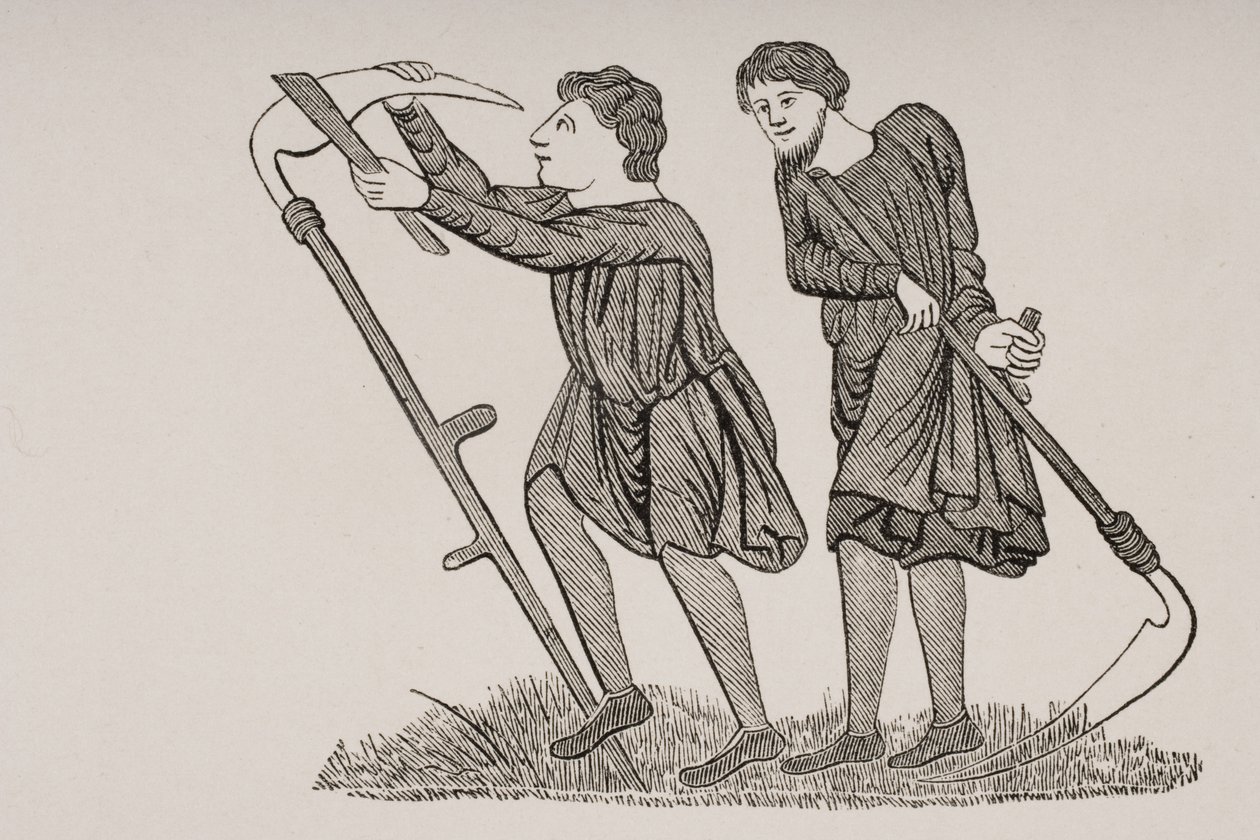 Siervos trabajando en los campos con guadañas, después de una miniatura en un manuscrito del siglo XII, de 