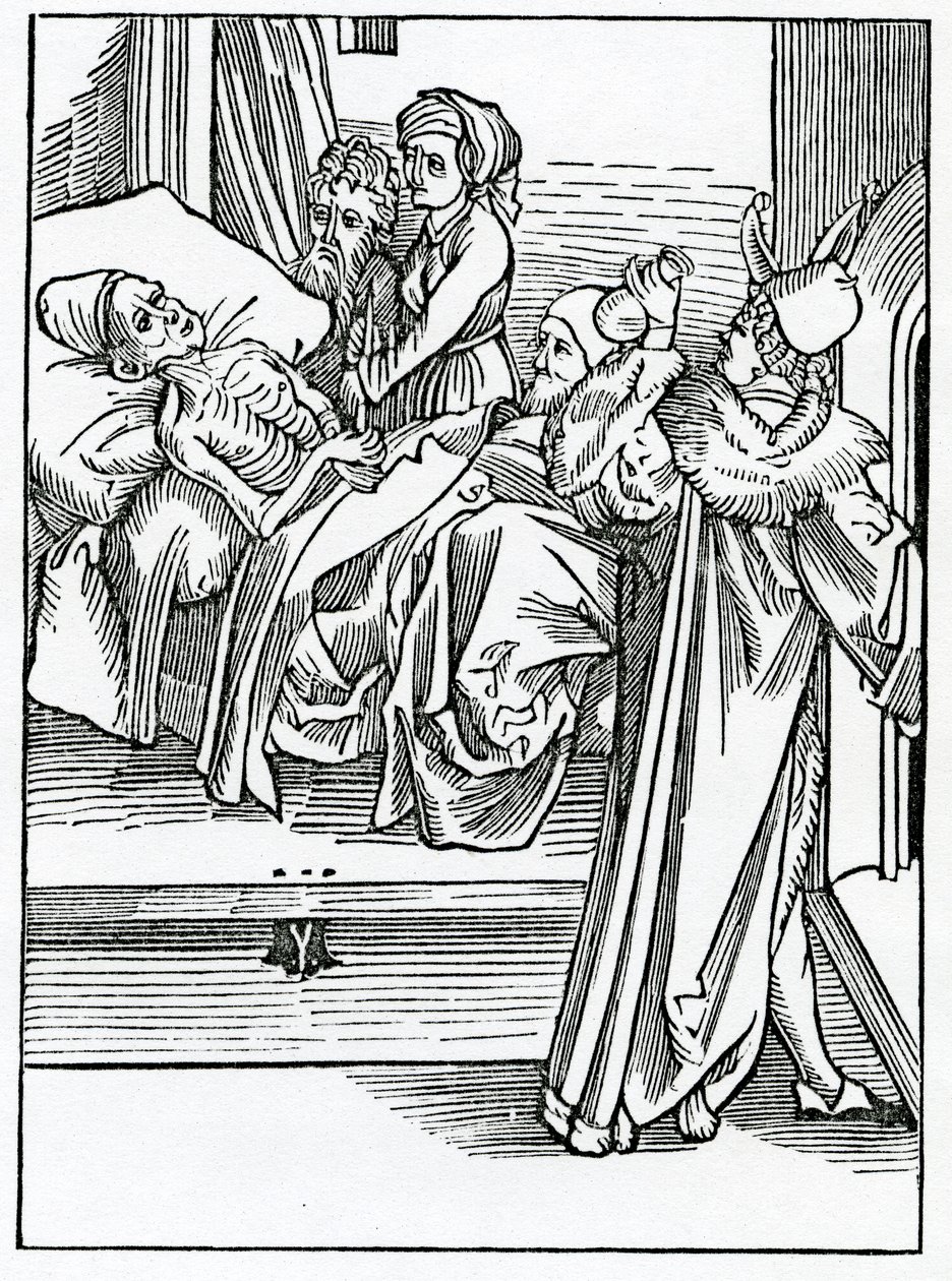 De médicos necios e ignorantes que solo siguen la práctica sin conocer nada de la especulación de su facultad, ilustración de la traducción al inglés de Alexander Barclay de 