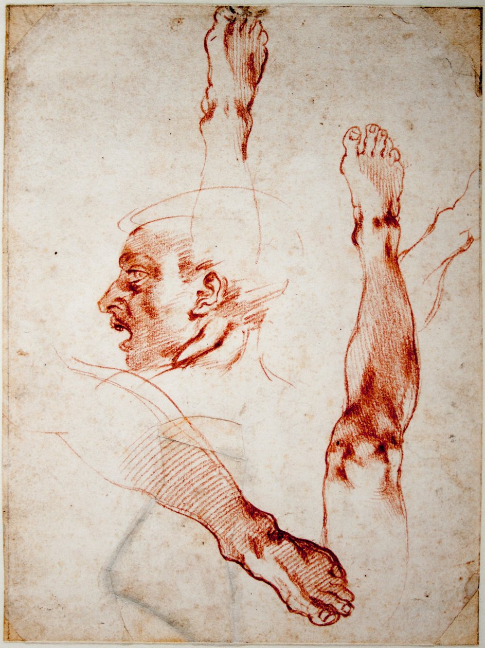 Cabeza masculina de perfil, estudios de extremidades de Michelangelo Buonarroti