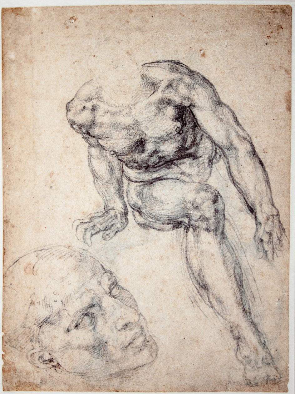 Estudio de un desnudo masculino, estudio separado de su cabeza de Michelangelo Buonarroti