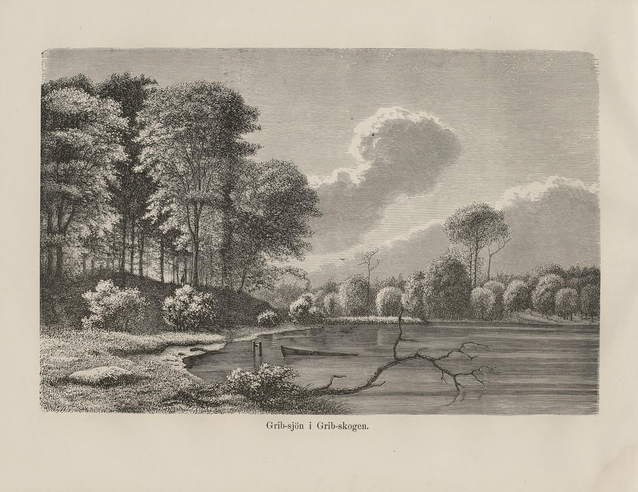 Ilustración tomada del libro Nordiska taflor de autor desconocido y publicado de Unknown