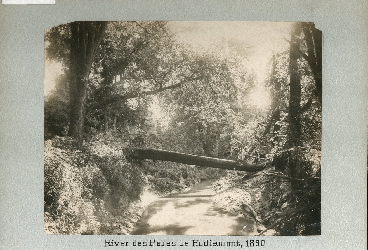 Dos niños caminando sobre un árbol caído que cruza un pequeño río en el bosque de Unknown