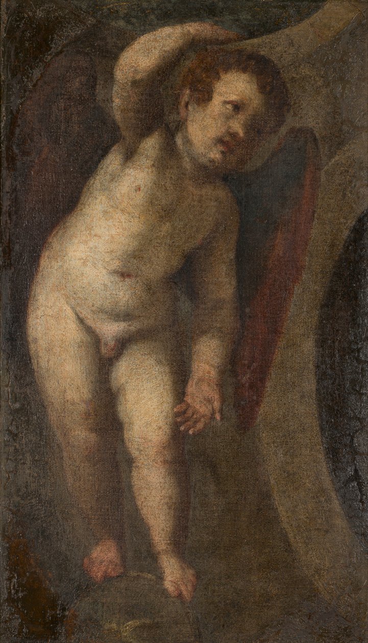 Un putto de pie, c.1548-88 (óleo sobre lienzo) de Veronese