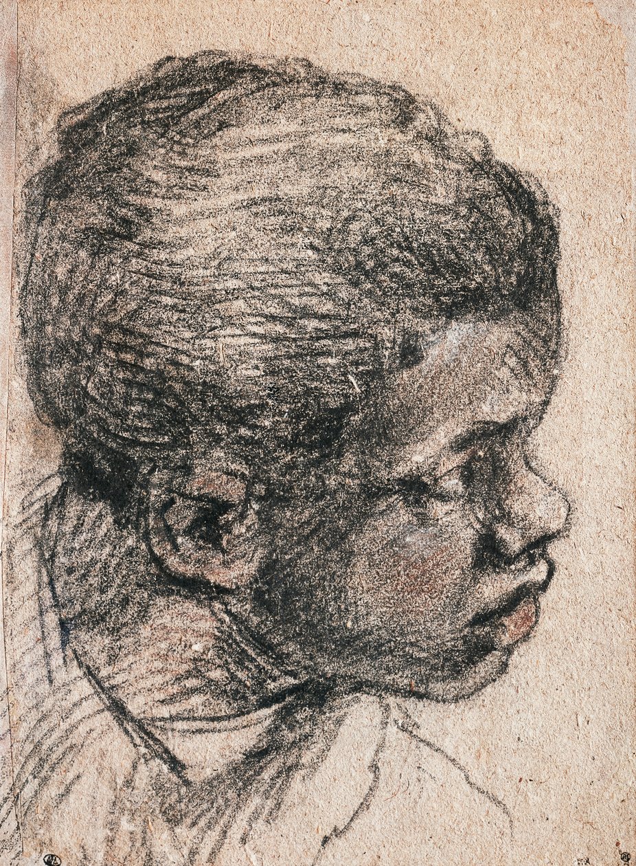 Cabeza de niño negro, Paolo Caliari conocido como Veronese de Veronese