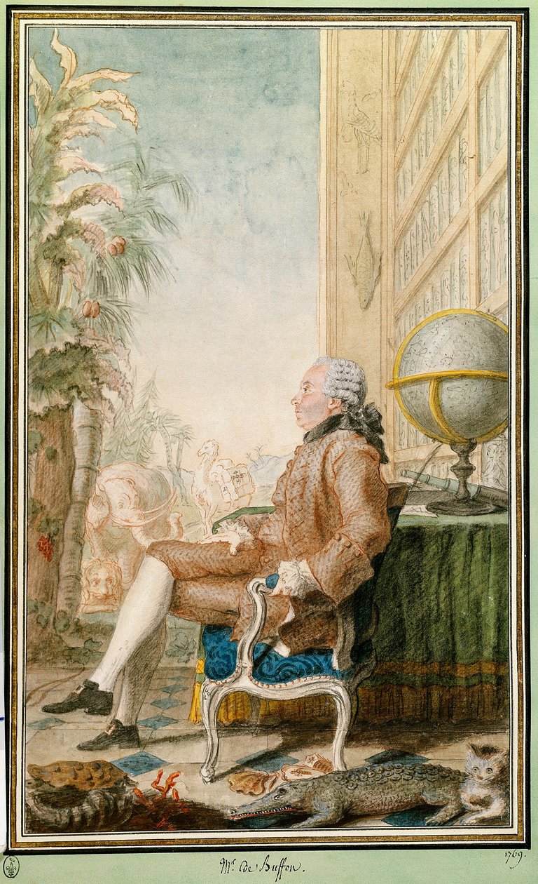 Retrato de Georges-Louis Leclerc, Conde de Buffon de Carmontelle