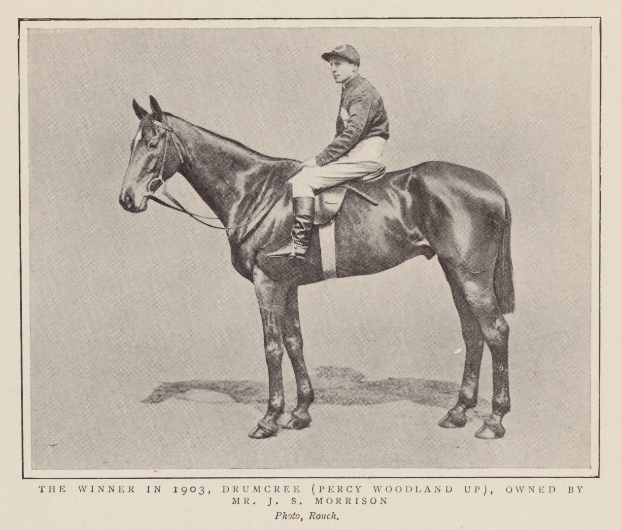 Drumcree, ganador del Grand National de 1903 (foto b/n) de (after) English photographer