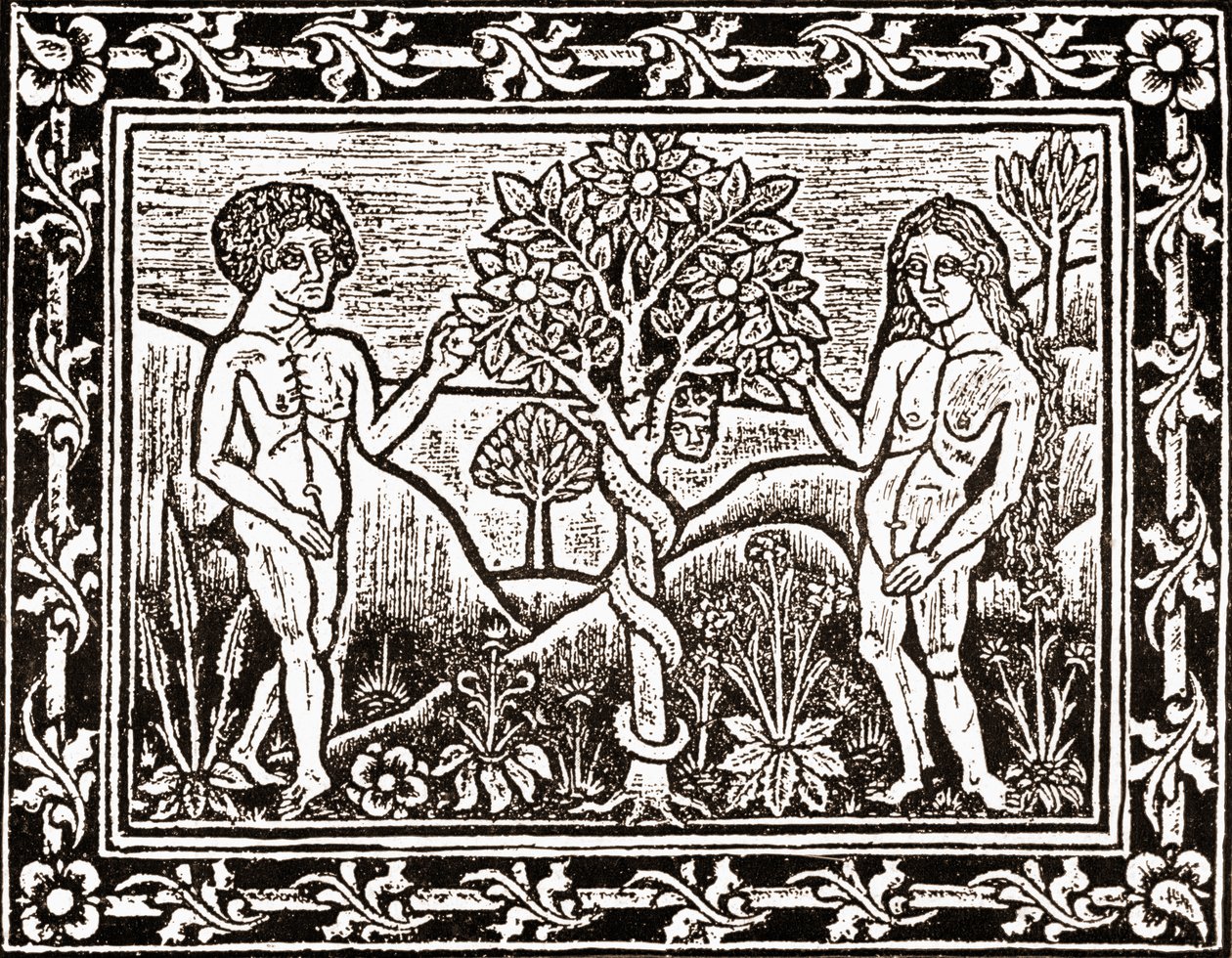 El árbol del que Adán comió la manzana, facsímil de un libro de meditación, el primer libro impreso en Albi, Languedoc, en 1481 de (after) French School