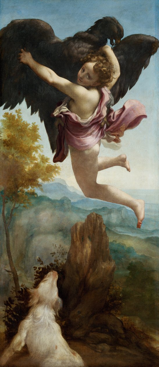 El Rapto de Ganímedes de (c.1489 1534) Correggio