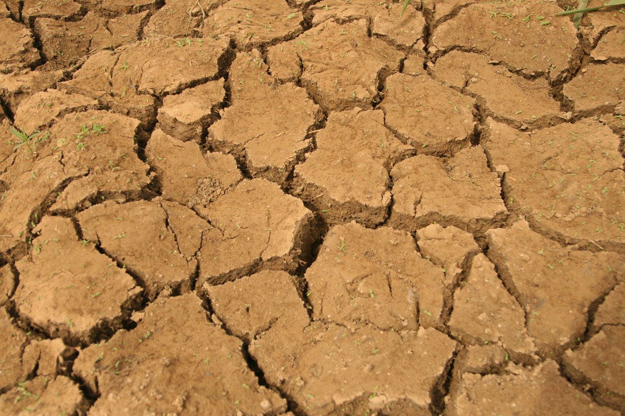 Suelo agrietado en un campo de cultivo durante la estación seca. Lagos, Nigeria. 1 de febrero de 2008 de Unknown