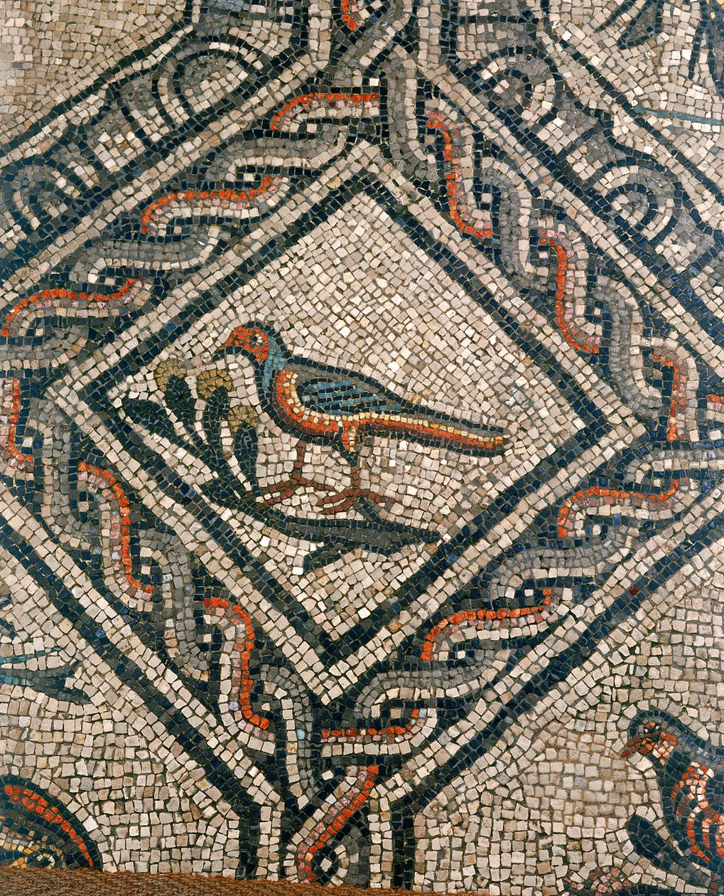 (detalle) del suelo de la Basílica Cristiana Primitiva de Aquileia, Udine de Unknown