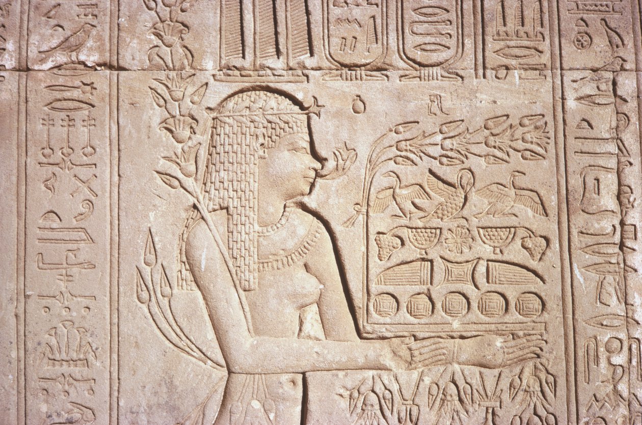 Egipto, Dendara, intrincadas tallas en la pared este del Templo de Hathor. de Unknown