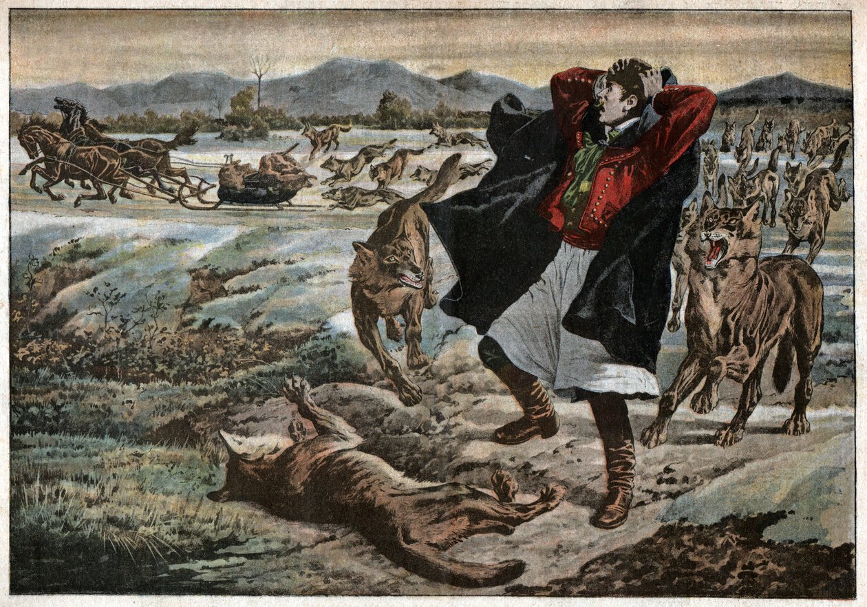 Lobos en Transilvania de Unknown