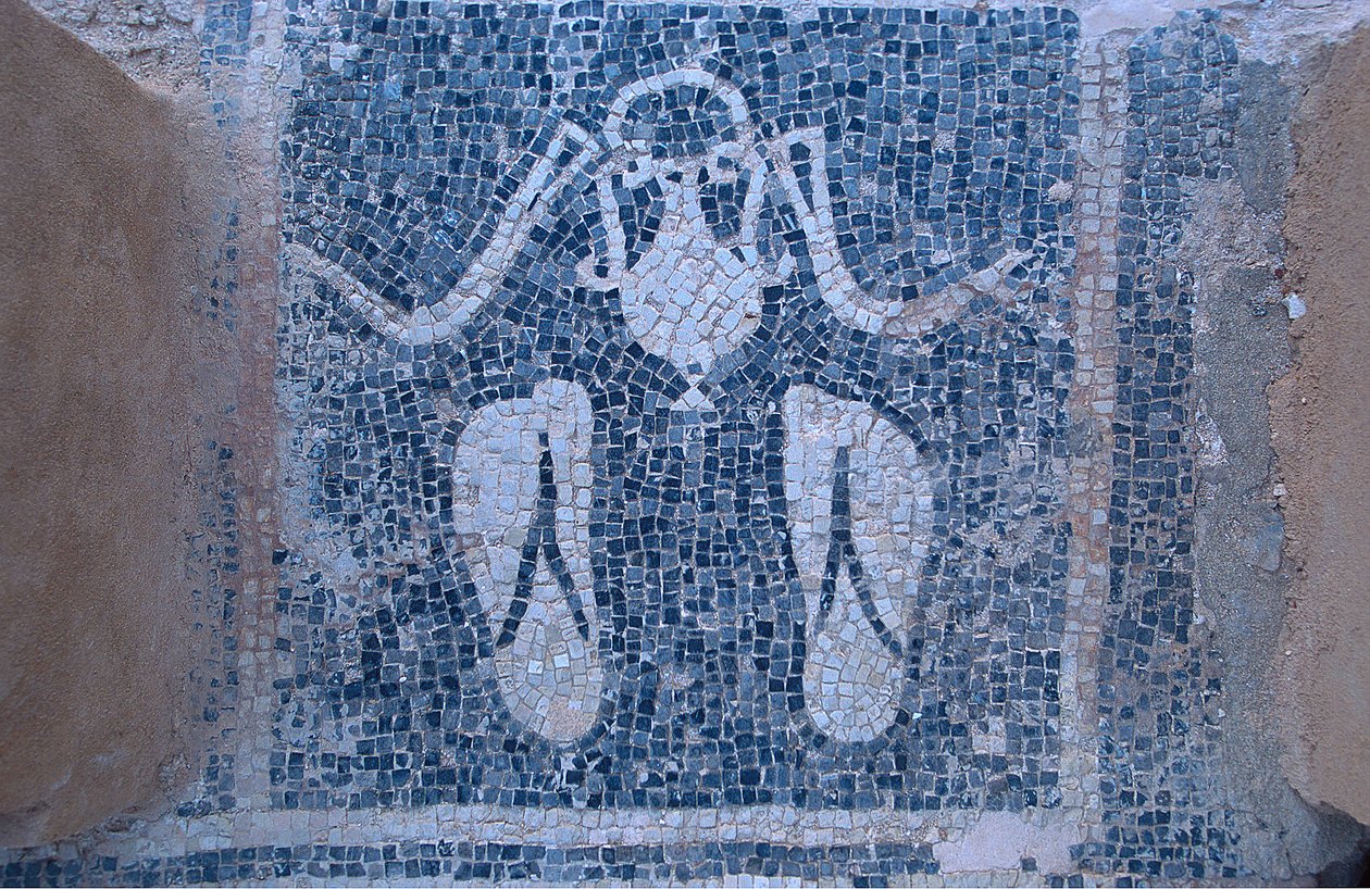 Mosaico de los baños termales de Unknown