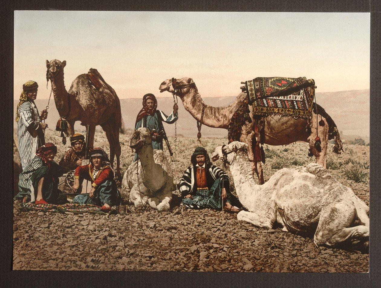 Caravana de camellos en el desierto descansando, pub. 1895 de American Photographer