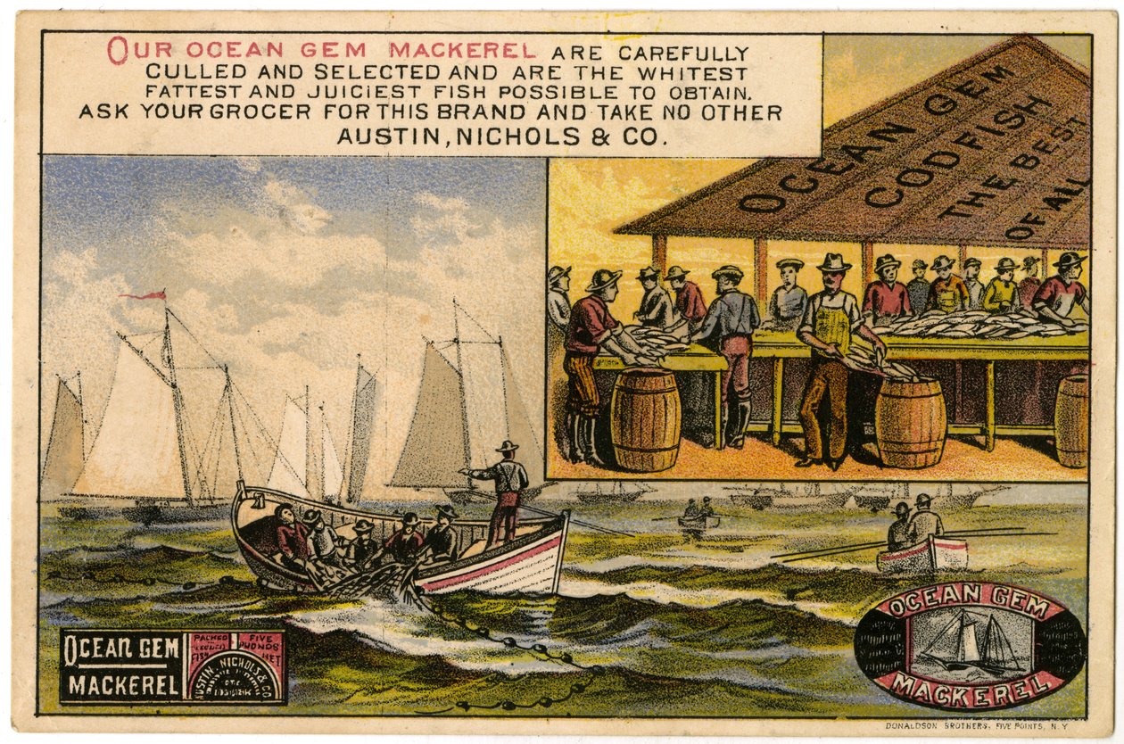 Austin, Nichols & Co. Ocean Gem Mackerel de American School