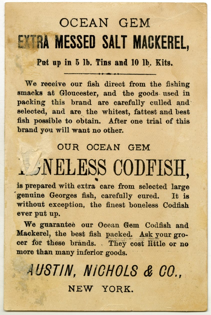 Austin, Nichols & Co. Ocean Gem Mackerel de American School