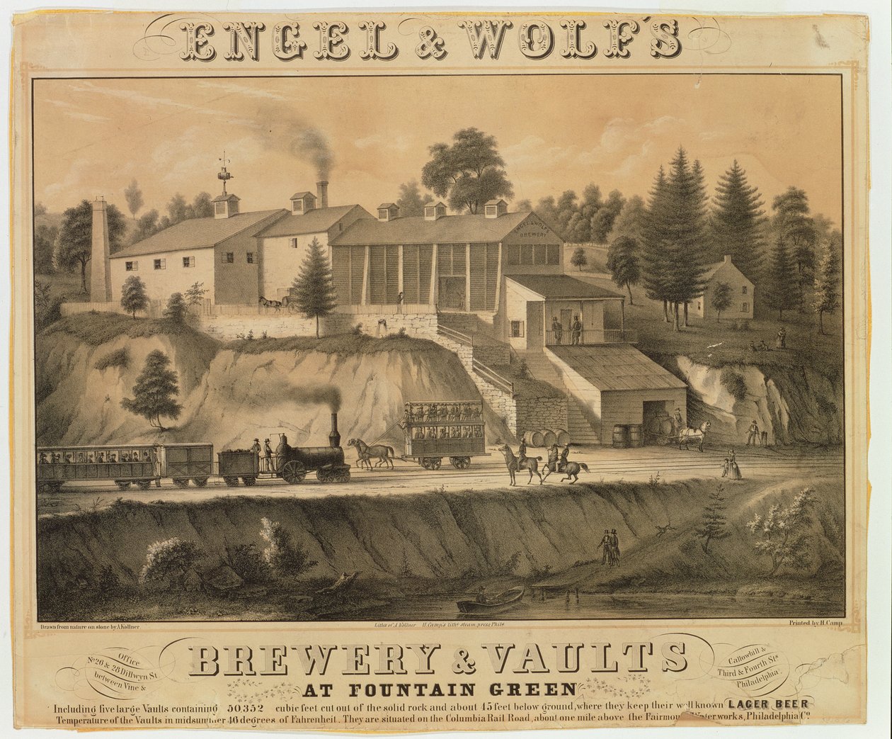 Cervecería Engel y Wolfs de American School
