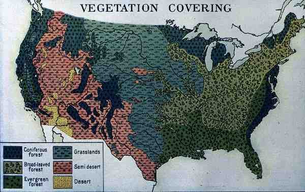 Mapa que muestra la vegetación que cubre los Estados Unidos de América, de El Desfile de América, Vol.3, por Ralph Henry Gabriel, 1926 de American School