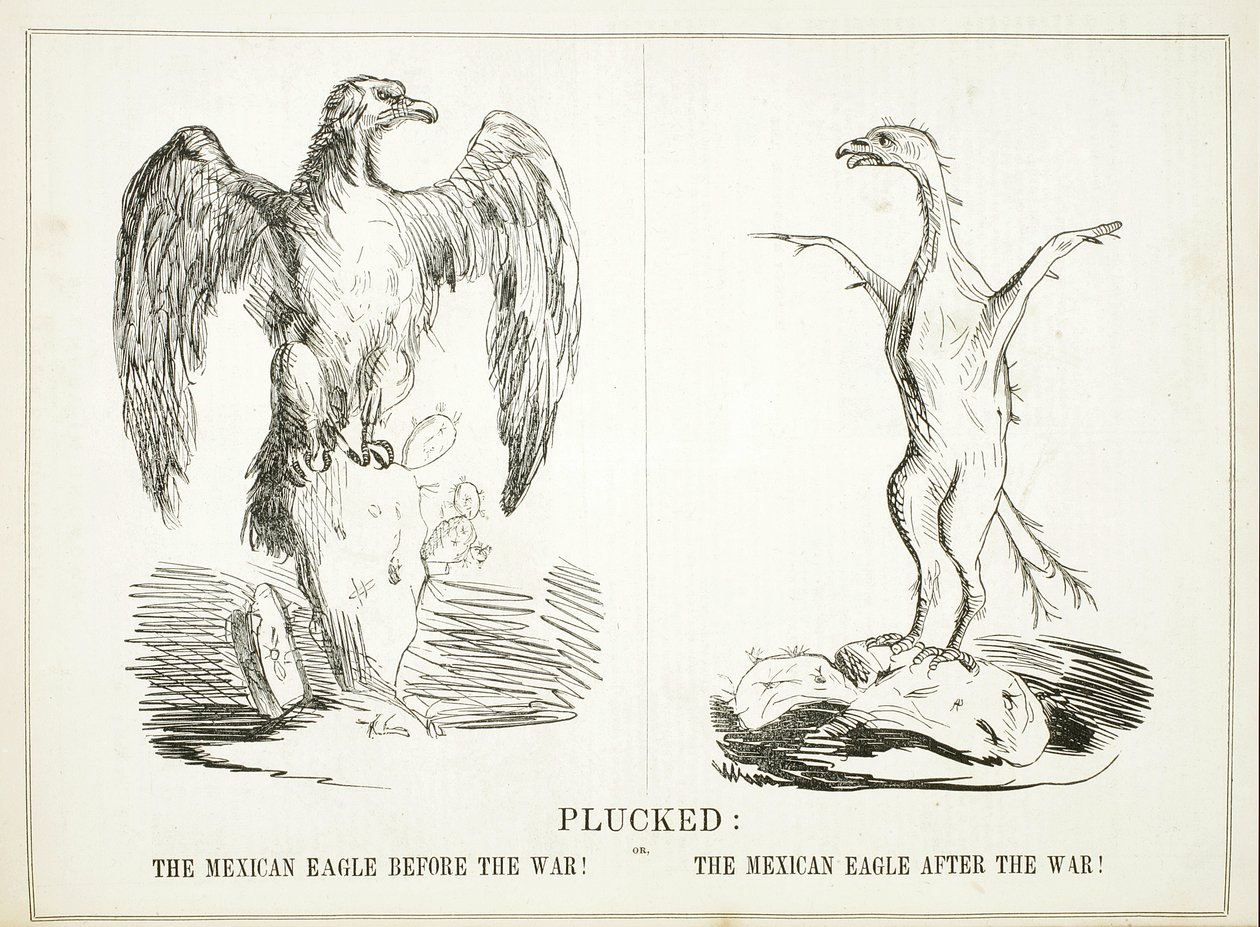 Desplumado: o, El águila mexicana antes de la guerra! El águila mexicana después de la guerra!, 1847 de American School