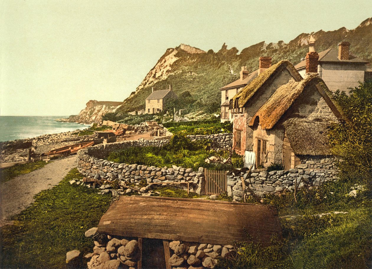 Acantilados, Shanklin, IOW, pub. c.1890 - 1900 de English Photographer