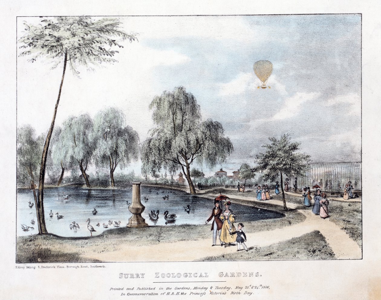 Jardines Zoológicos de Surry. Pub. 1836 de English School