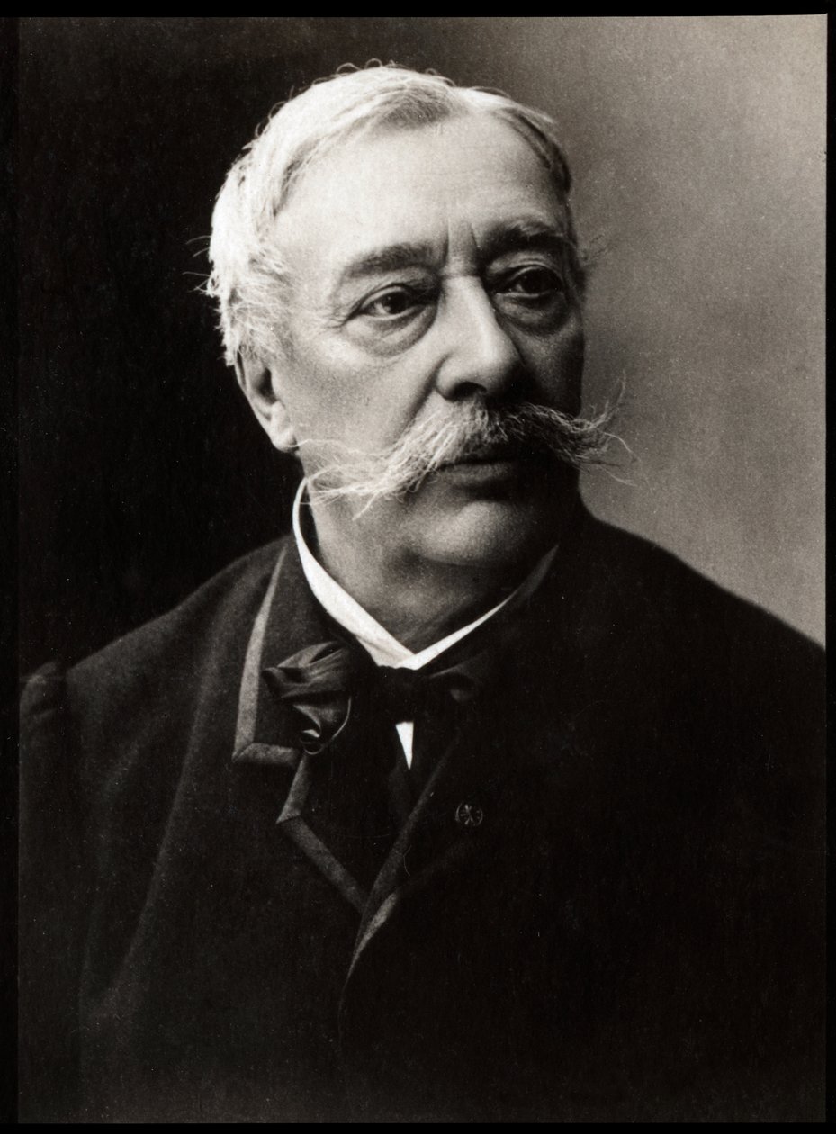 Retrato de Alfred Stevens (1823-1906), pintor francés de French Photographer